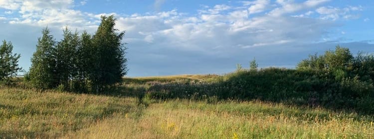 Путешествие в Лето. (Часть 1)