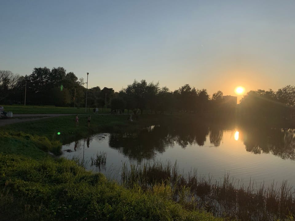 Да здравствует новый ...